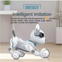 کنترلی سگ شارژی ایتم 118