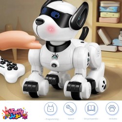 ربات سگ کنترلی آیتم K27