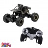 ماشین کنترلی مدل آفرود rock crawler آیتم 2029