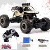 ماشین کنترلی مدل آفرود rock crawler آیتم 2029