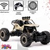 ماشین کنترلی مدل آفرود rock crawler آیتم 2029