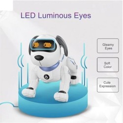 کنترلی سگ شارژی  ایتم K16