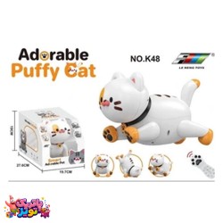 کنترلی گربه هوشمند شارژی برند LE NENG TOYS   آیتم 48 K
