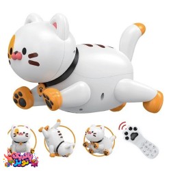 کنترلی گربه هوشمند شارژی برند LE NENG TOYS   آیتم 48 K
