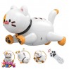 کنترلی گربه هوشمند شارژی برند LE NENG TOYS   آیتم 48 K